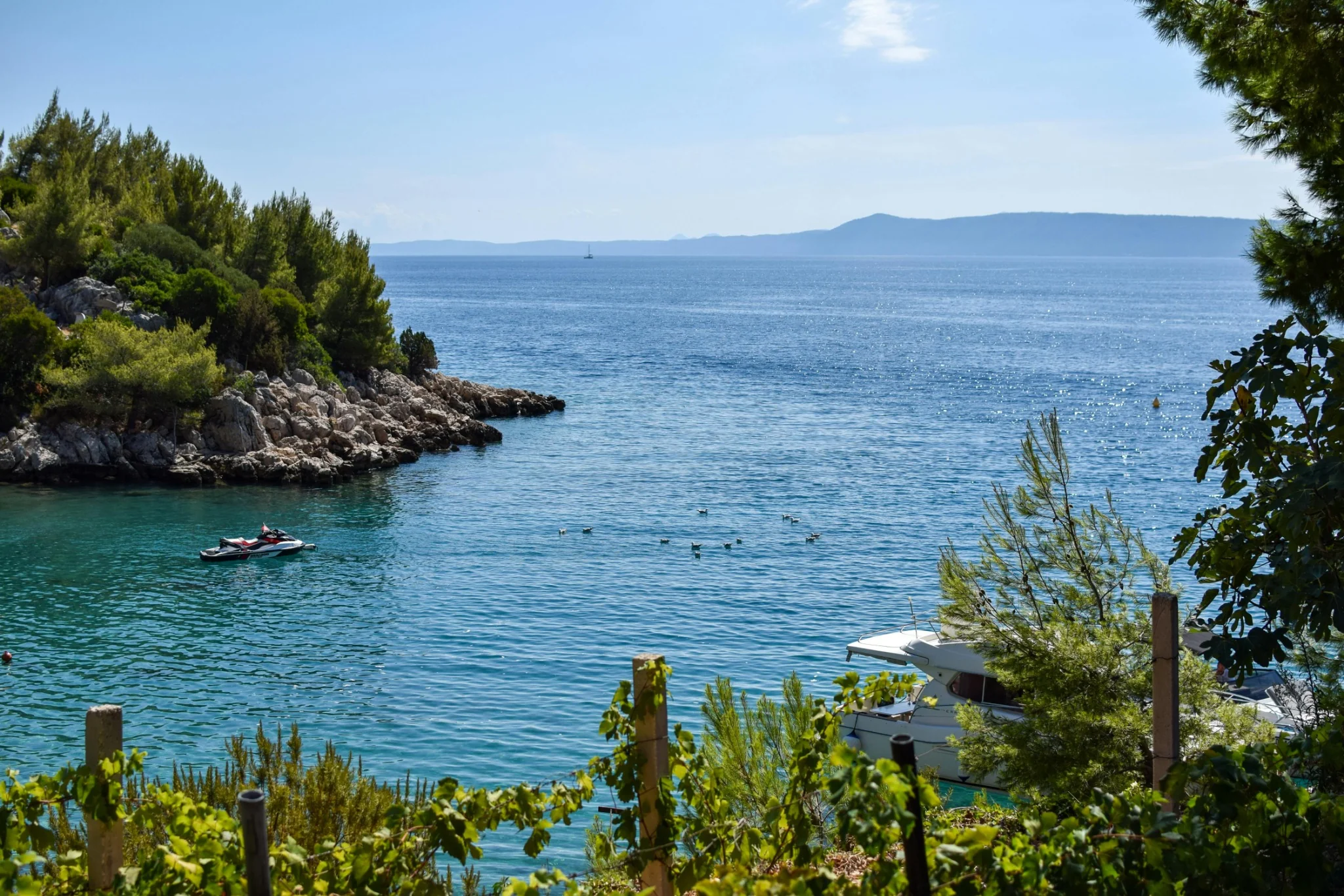 Mljet secluded bay