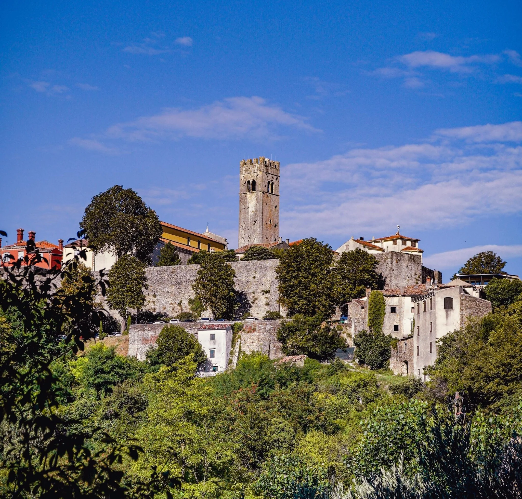 Motovun's medieval walls and bell tower above the Mirna valley, inland Istria, Croatia